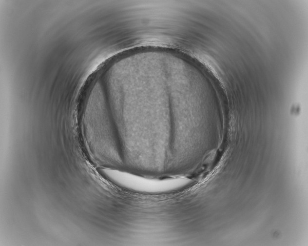 X0000093470923200711021228