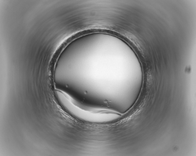 X0000093470926200711021228