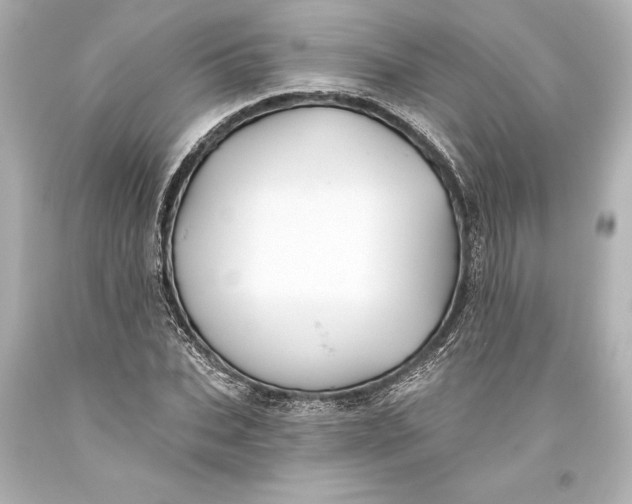 X0000093470927200711021228