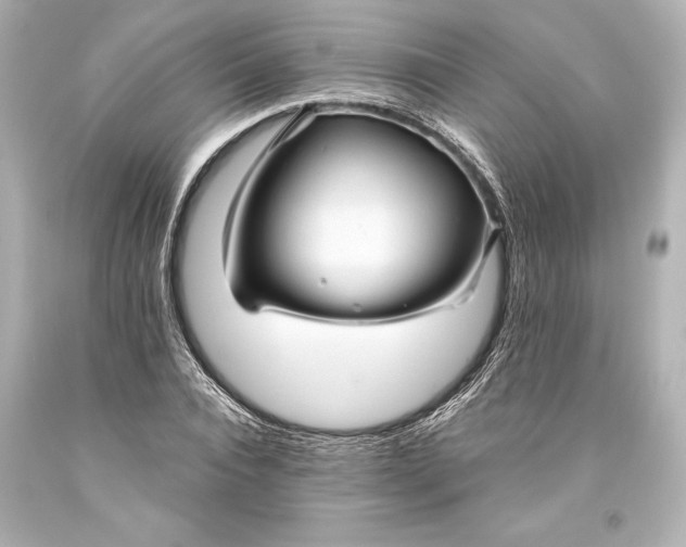 X0000093470928200711021228