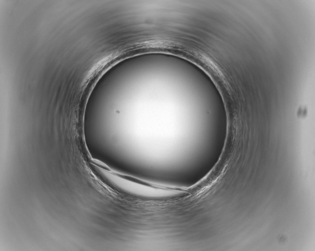 X0000093470930200711021228