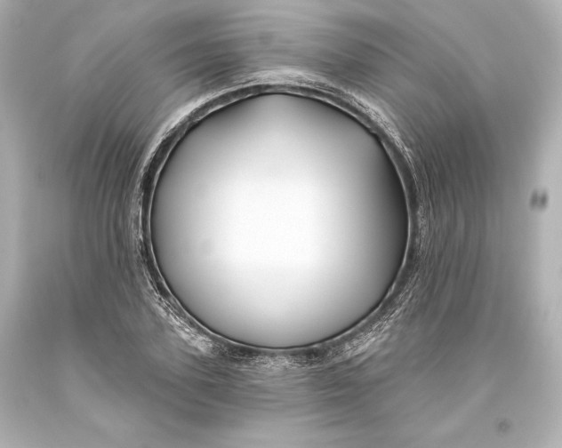 X0000093470931200711021228