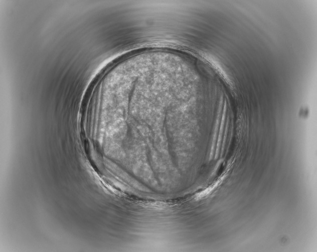 X0000093470932200711021228