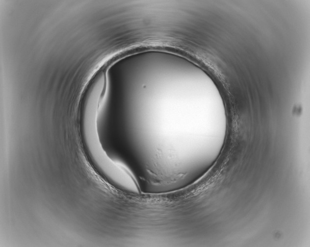 X0000093470934200711021228