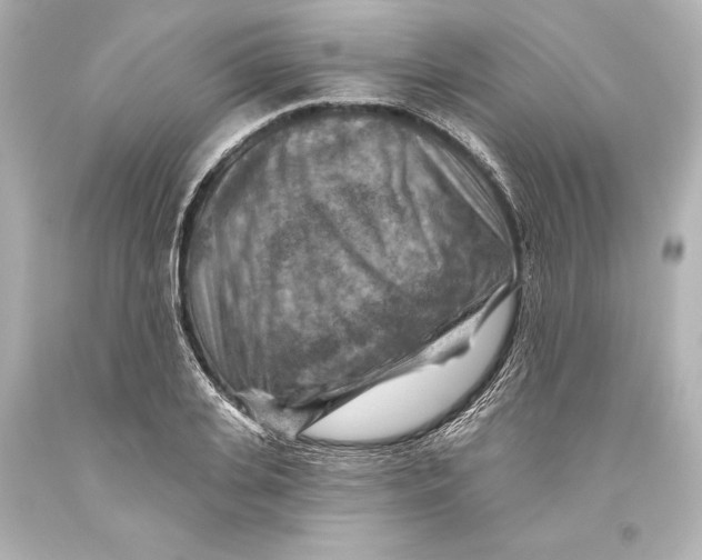 X0000093470935200711021228