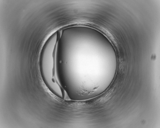 X0000093470939200711021229