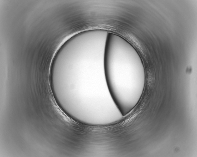 X0000093470940200711021229