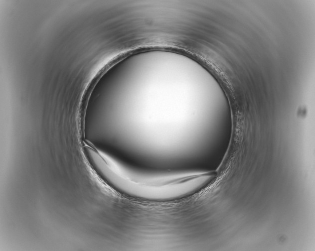 X0000093470942200711021229