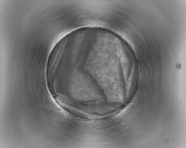 X0000093470943200711021229