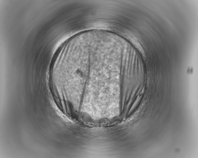 X0000093470944200711021229