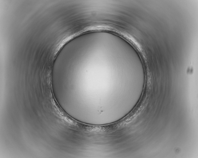 X0000093470945200711021229