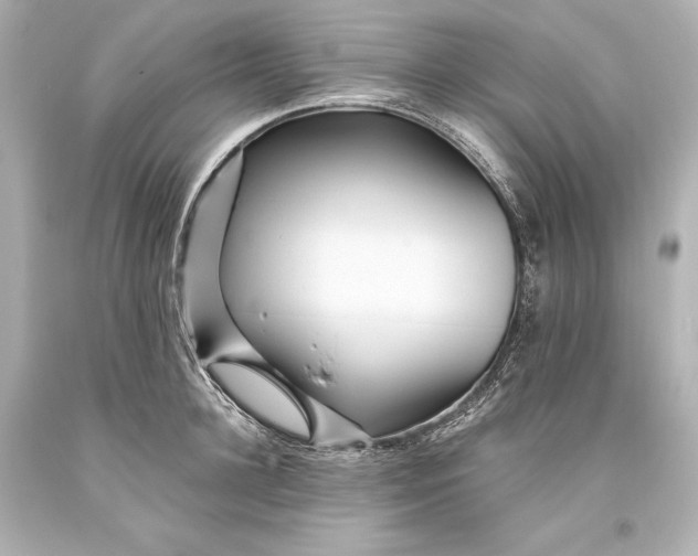 X0000093470948200711021229