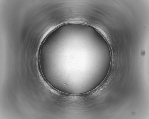 X0000093470949200711021229