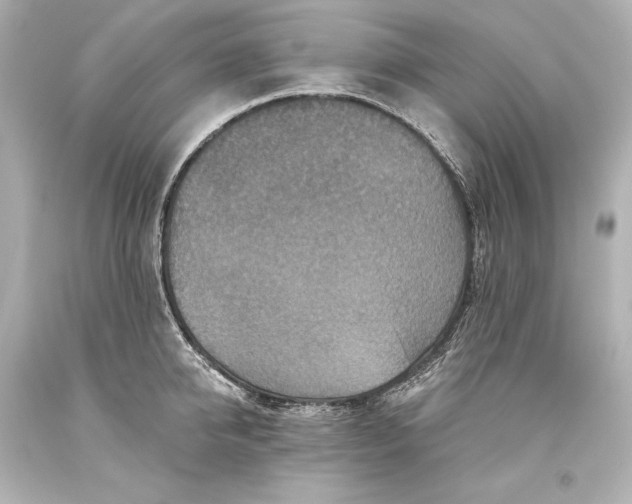 X0000093470950200711021229