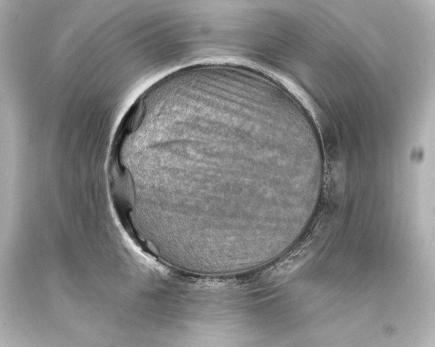 X0000093470951200711021229