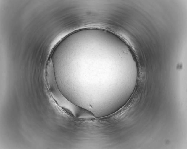 X0000093470952200711021229