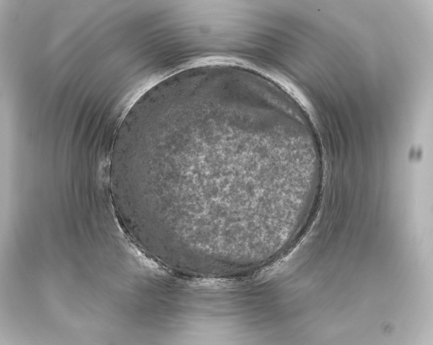 X0000093470953200711021229