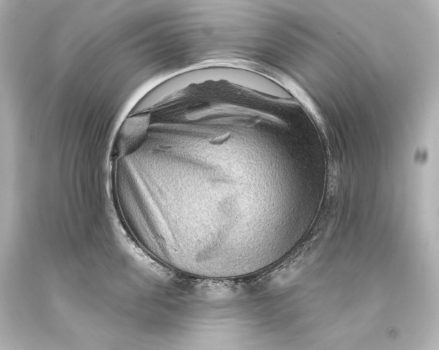 X0000093470955200711021229