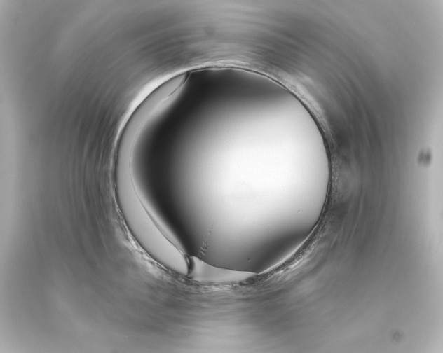 X0000093470956200711021229