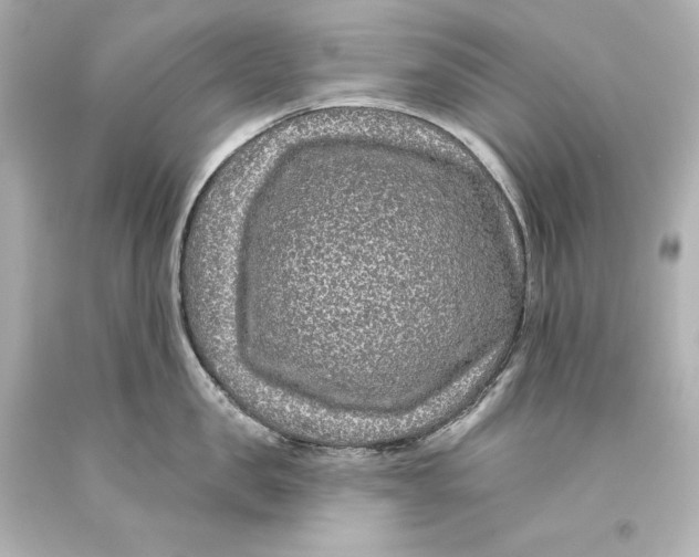 X0000093470957200711021229