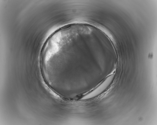 X0000093470958200711021229