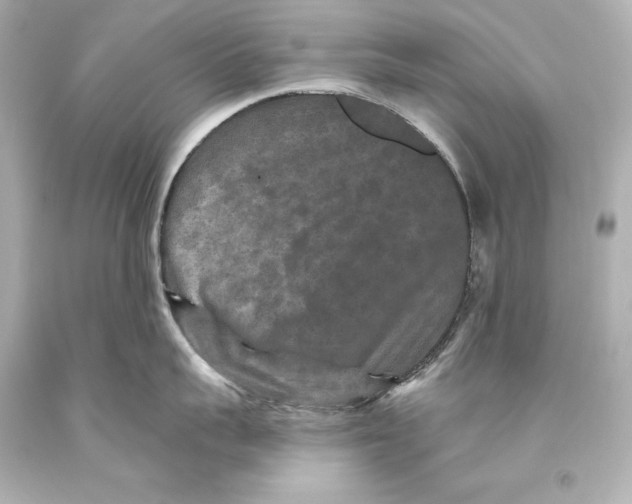 X0000093470959200711021229