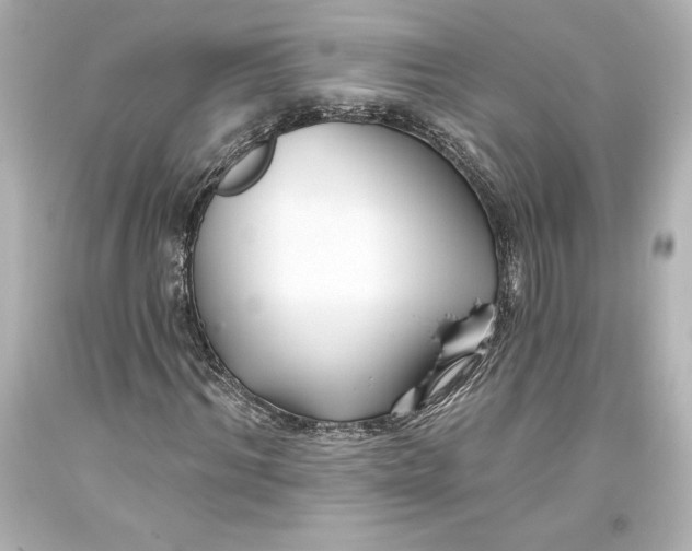 X0000093470964200711021228