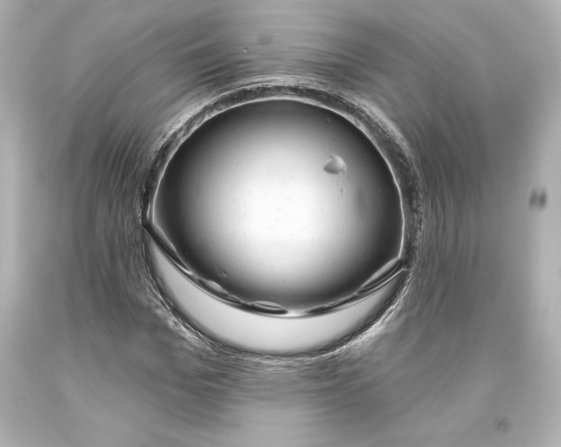 X0000093470969200711021228