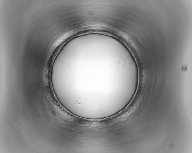 X0000093470970200711021228