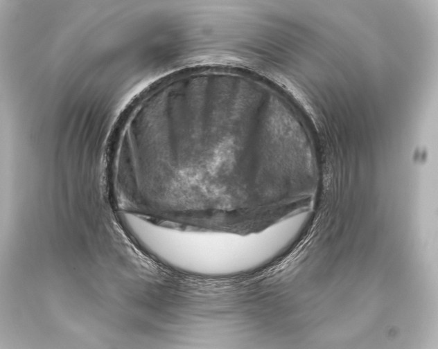 X0000093470975200711021228