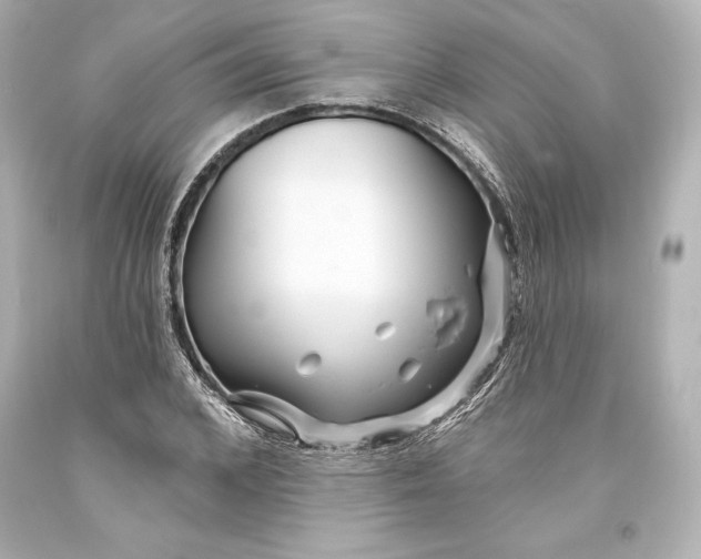 X0000093470976200711021228