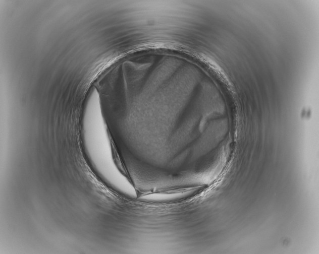 X0000093470977200711021228