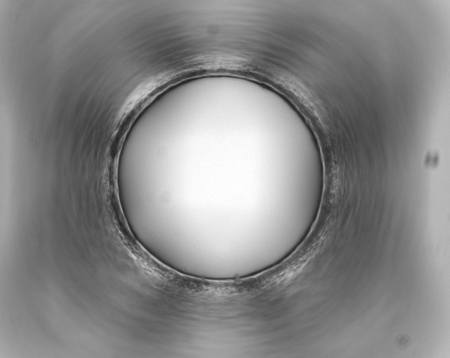 X0000093470978200711021228