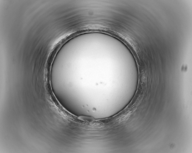 X0000093470979200711021228