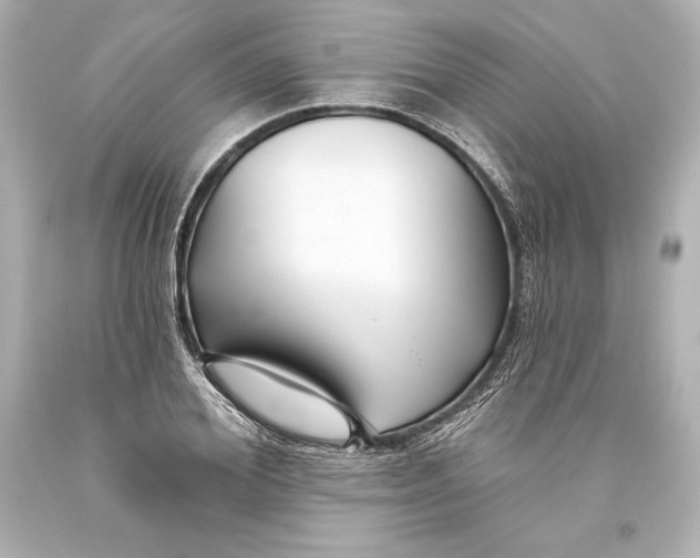 X0000093470980200711021228