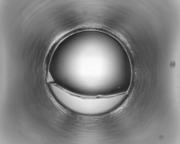 X0000093470981200711021228