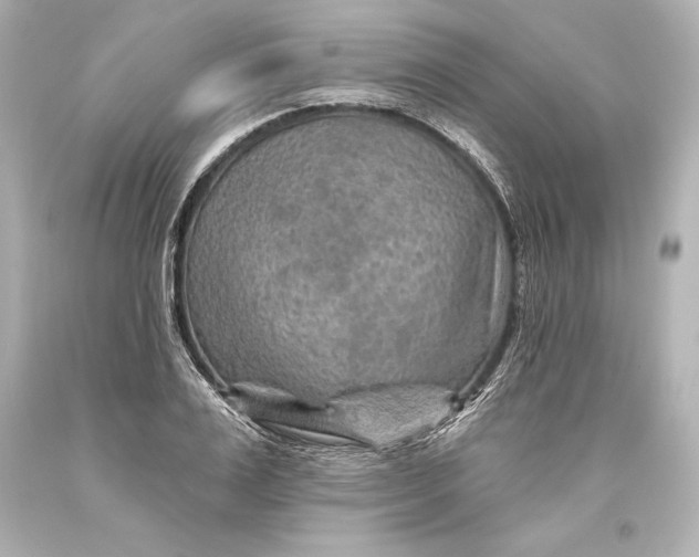 X0000093470983200711021228