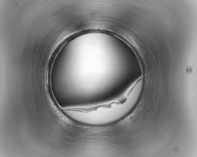 X0000093470984200711021228