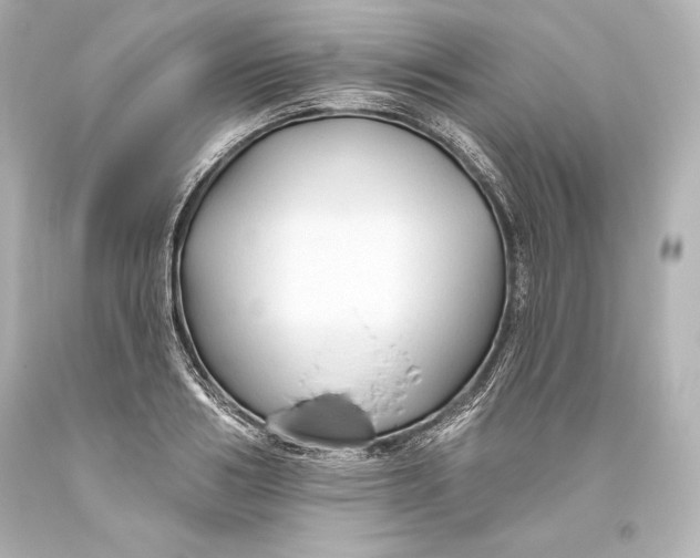 X0000093470986200711021228