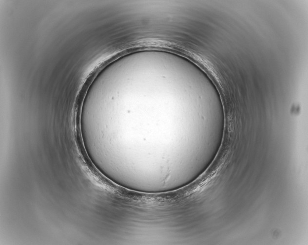 X0000093470987200711021228