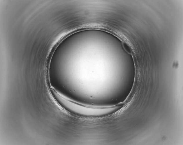 X0000093470989200711021228