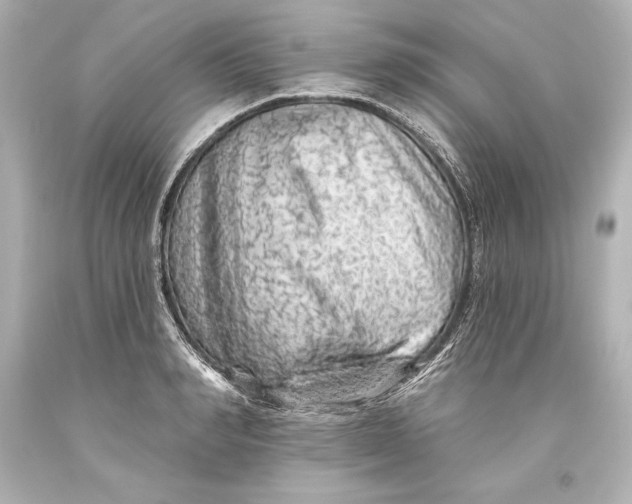 X0000093470990200711021228