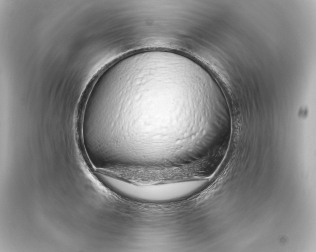 X0000093470991200711021228