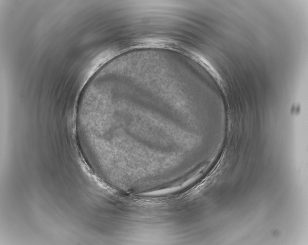 X0000093470994200711021228