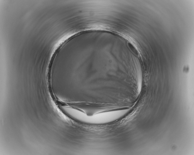 X0000093470995200711021228