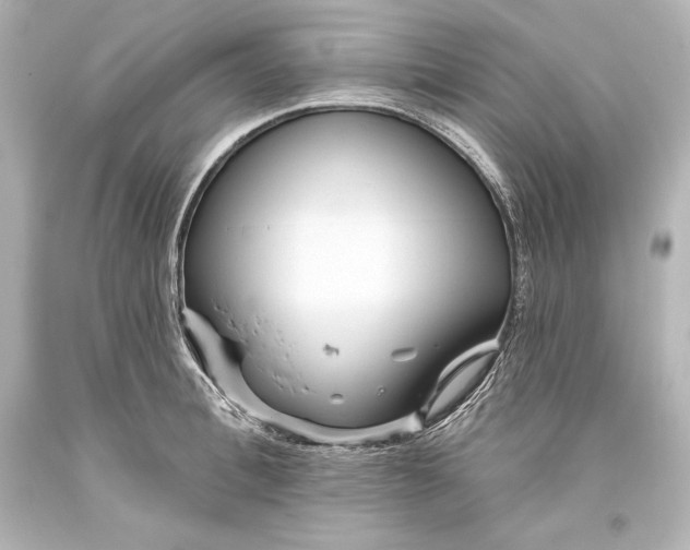 X0000093470996200711021228