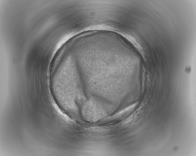 X0000093470998200711021228