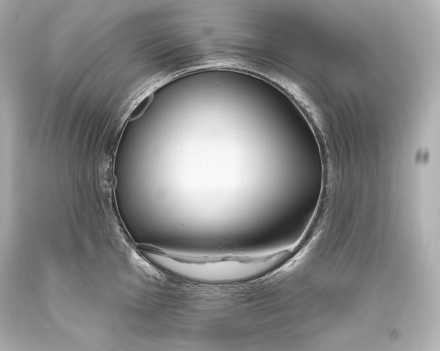 X0000093471001200711021228