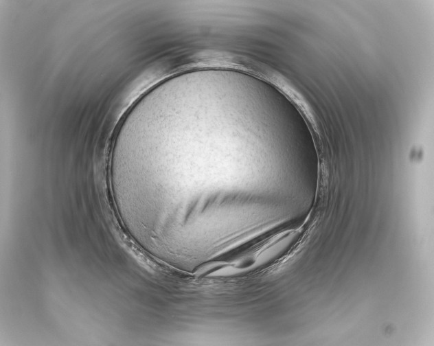 X0000093471002200711021228