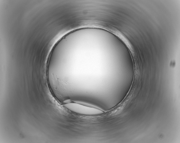 X0000093471004200711021228